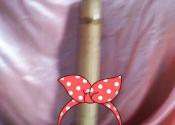 Filosopi Bambu Buta, Sungguh Manusia Dalam Kerugian