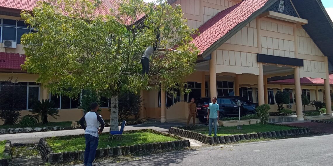 Aceh Singkil Bersiap Sambut Kedatangan Pj Gubernur Aceh