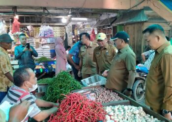PASTIKAN HARGA SEMBAKO STABIL, PJ. BUPATI ACEH TAMIANG INSPEKSI PASAR