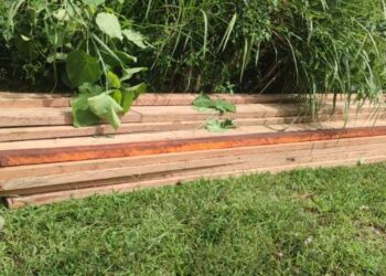 Kayu Siluman Tak Bertuan Bergentayangan Lagi Di Perdalaman Karang Ampar Ketol