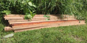 Kayu Siluman Tak Bertuan Bergentayangan Lagi Di Perdalaman Karang Ampar Ketol