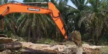 Perbaikan Jembatan Putus Di Aceh Singkil Telah Terlaksana Meski Ada Beberapa Titik Belum Terjamah