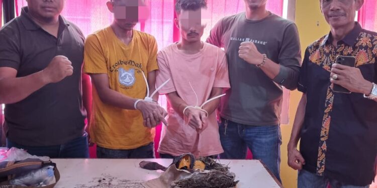 Dua Pelaku Penyalahgunaan Ganja Kering Ditangkap Di Kelurahan Lipat Kain