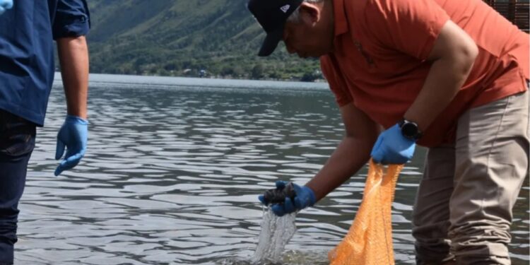 Sekda Aceh Tengah Bersama Ribuan Siswa Bersihkan Sampah Di Danau Lut Tawar