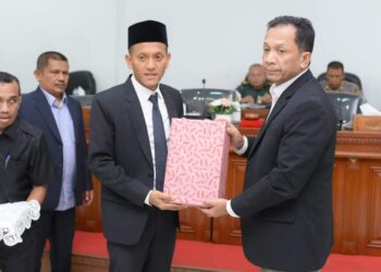 Pj Bupati Aulia Sofyan Serah RPJP Tahun 2025-2045 kepada DPRK Bireuen 