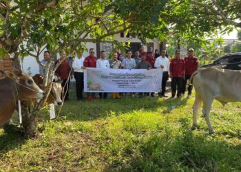 Hari Raya Idul Adha 2024, Pj Bupati Azmi Salurkan 500 Ekor Hewan Qurban Di 11 Kecamatan