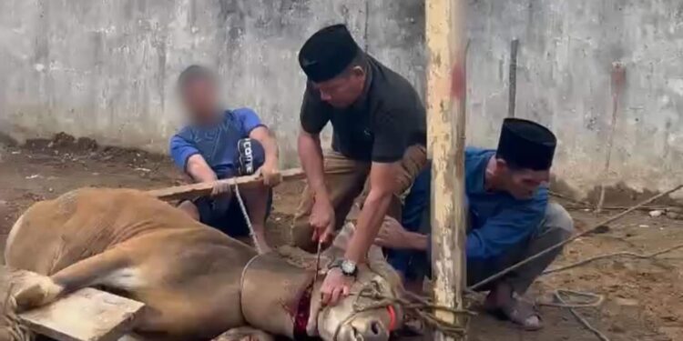 Rutan Takengon Melaksanakan Penyembelihan Hewan Qurban