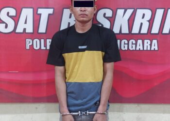 Penangkapan Tersangka Pencurian Oleh Tim Resmob Satreskrim Polres Aceh Tenggara
