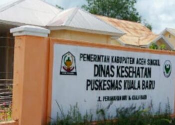 Dokumen SK Honor Bermasalah, Gaji Dua Oknum P3K Dinkes Aceh Singkil Dipending