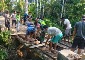 Serda Supardi Babinsa,Desa Batu Sumbang Dan Warga Gotong Royong Perbaiki Jembatan Rusak