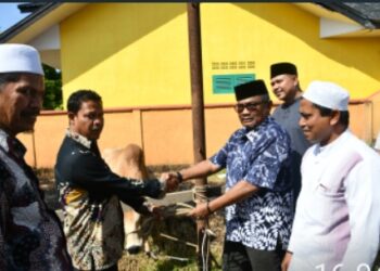 Pemko Langsa Menyerahkan 70 Hewan Qurban Kepada Gampong- Gampong
