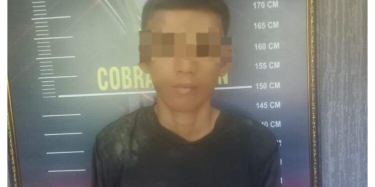 Mencuri Di Tokoh Buah, BR Diamankan Polsek Rambutan 