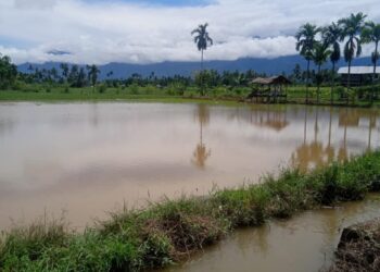 LSM Perkara Pertanyakan SK Bupati No : 521/100/2023 Tidak Terealisasi, Petani Gagal Panen Kecewa