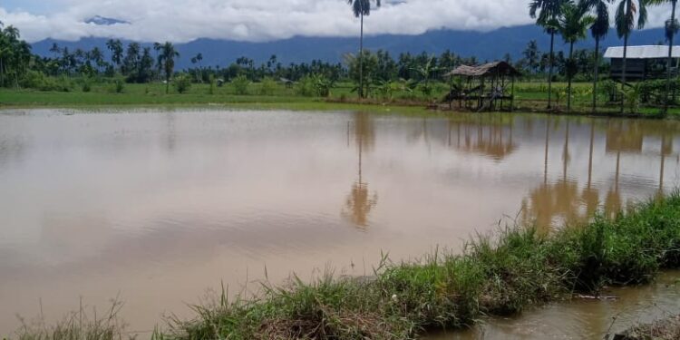 LSM Perkara Pertanyakan SK Bupati No : 521/100/2023 Tidak Terealisasi, Petani Gagal Panen Kecewa