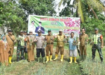 PANEN PERDANA BAWANG MERAH, PJ. BUPATI ASRA: INI INTERVENSI PEMKAB UNTUK KENDALIKAN INFLASI DAERAH