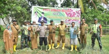 PANEN PERDANA BAWANG MERAH, PJ. BUPATI ASRA: INI INTERVENSI PEMKAB UNTUK KENDALIKAN INFLASI DAERAH