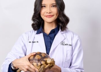Drh. Yulyani Dewi Terbitkan Buku “A-Z : Tortoises and Turtles,” Kupas Tuntas Soal Kura-kura