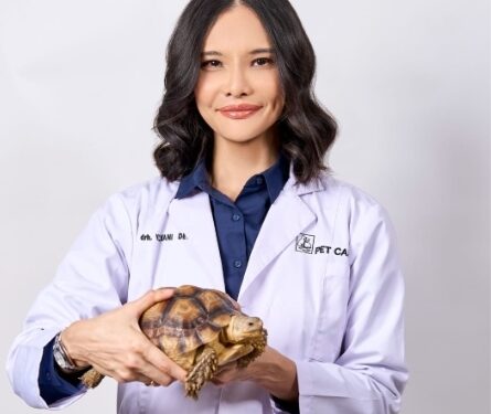 Drh. Yulyani Dewi Terbitkan Buku “A-Z : Tortoises and Turtles,” Kupas Tuntas Soal Kura-kura