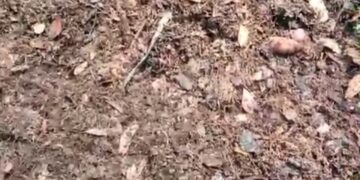 PT JMI Isaq Di Duga Buang Limbah Di Burlintang, Masyarakat Mempertanyakan Apakah Sudah Sesuai Prosedur