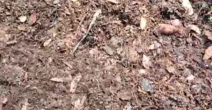 PT JMI Isaq Di Duga Buang Limbah Di Burlintang, Masyarakat Mempertanyakan Apakah Sudah Sesuai Prosedur