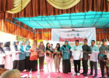 BUKA GERAKAN SERENTAK INTERVENSI STUNTING, PJ. BUPATI ASRA LUNCURKAN RGG ALUR MENTAWAK