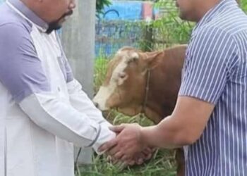 Kapolres Henki Ismanto Menyerahkan Hewan Qurban Kepada Pondok Pesantren Qaha Lhokseumawe 