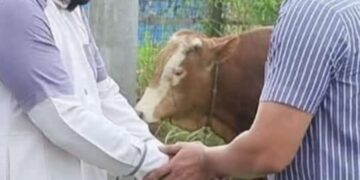 Kapolres Henki Ismanto Menyerahkan Hewan Qurban Kepada Pondok Pesantren Qaha Lhokseumawe 