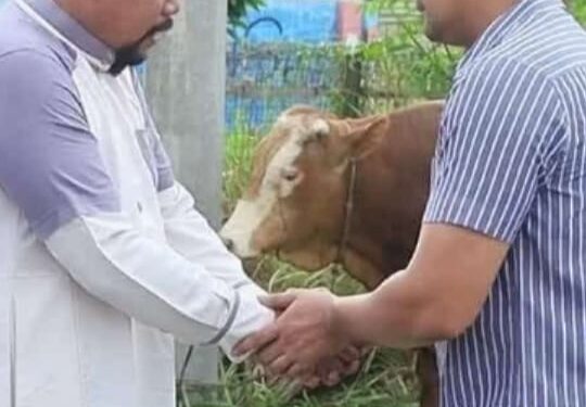 Kapolres Henki Ismanto Menyerahkan Hewan Qurban Kepada Pondok Pesantren Qaha Lhokseumawe 