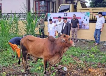 Momen Idul Adha, Lapas Kutacane Laksanakan Pemotongan Hewan Kurban