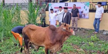 Momen Idul Adha, Lapas Kutacane Laksanakan Pemotongan Hewan Kurban