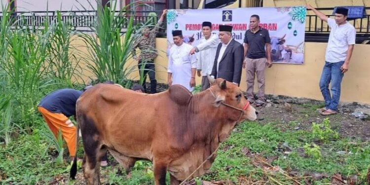 Momen Idul Adha, Lapas Kutacane Laksanakan Pemotongan Hewan Kurban