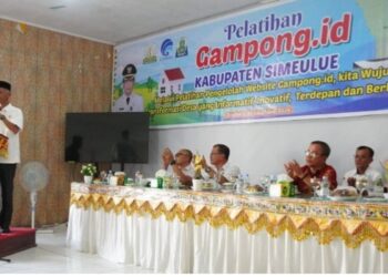 Diskominsa Simeulue Buka Pelatihan Website Gampong.id Pada 138 Operator Desa