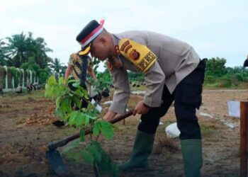 Menyambut HUT Bhayangkara Ke 78, Polres Langsa Gelar Kegiatan Penanaman Pohon