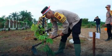 Menyambut HUT Bhayangkara Ke 78, Polres Langsa Gelar Kegiatan Penanaman Pohon