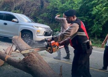 Samapta Polres Aceh Jaya Bersihkan Pohon Tumbang Di Jalan Gunong Cincrang