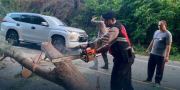 Samapta Polres Aceh Jaya Bersihkan Pohon Tumbang Di Jalan Gunong Cincrang
