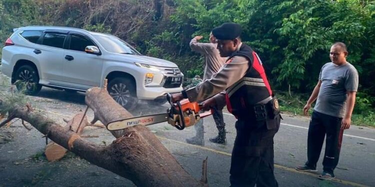 Samapta Polres Aceh Jaya Bersihkan Pohon Tumbang Di Jalan Gunong Cincrang
