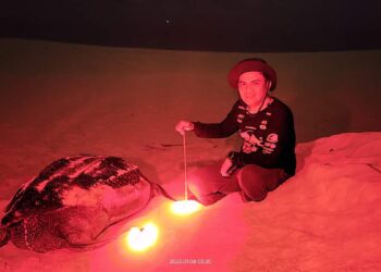 Aipda Wardika Saputra, S.H, Sosok Polisi Simeulue Yang Perduli Terhadap Penyu Dan Terumbu Karang