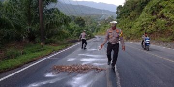 Polisi akan Tindak Truk Tangki Penyebab Tumpahan CPO Di Jalan
