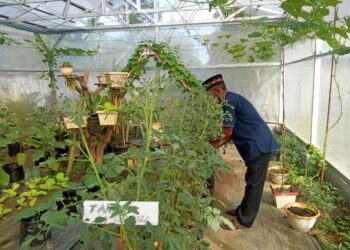 Green House Sebagai Inovasi Teknologi Tepat Guna Bidang Pertanian Lahan Ekstrim Yang Patut Dicontoh 