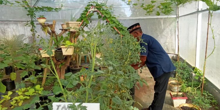 Green House Sebagai Inovasi Teknologi Tepat Guna Bidang Pertanian Lahan Ekstrim Yang Patut Dicontoh 