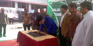 Pj Bupati Bireuen Aulia Sofyan Teken Prasasti Pelayanan Terpadu RSUD Dr Fauziah