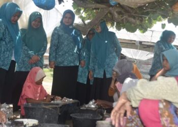 Pj. Ketua TP PKK Aceh Timur Hikmatul Amrullah Perdana Kunjungi Desa GAMMAWAR