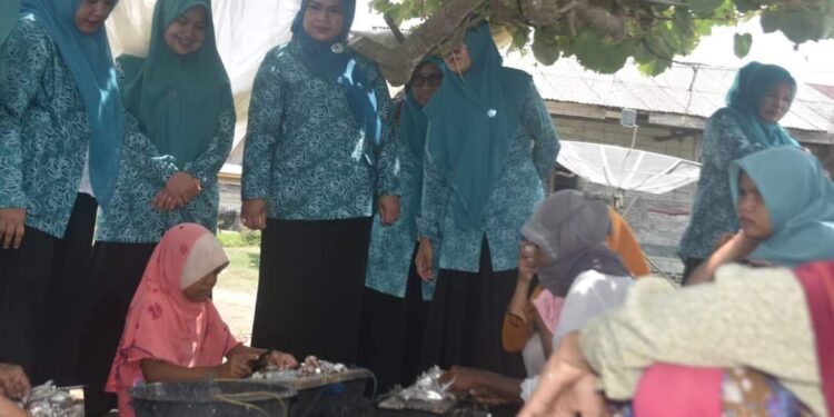 Pj. Ketua TP PKK Aceh Timur Hikmatul Amrullah Perdana Kunjungi Desa GAMMAWAR