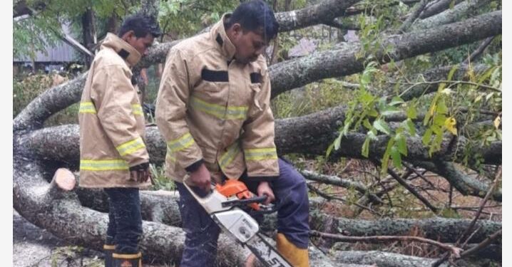 Hujan Deras Dan Angin Kencang Melanda Aceh Besar Mengakibatkan Pohon Tumbang