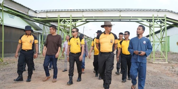 Kapolda Sumsel Rachmad Wibowo Tinjau Pabrik Bahan Pokok Di Pulau Rimau, Banyuasin