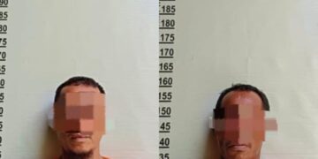 2 Tukang Panen Sawit Secara Ilegal Milik PT RSS Ditangkap Security, Dua Lagi DPO