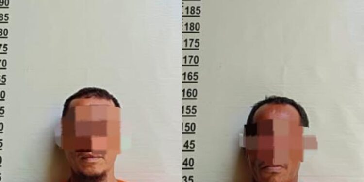 2 Tukang Panen Sawit Secara Ilegal Milik PT RSS Ditangkap Security, Dua Lagi DPO