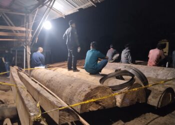 Polres Kampar Ungkap kasus illegal logging Sawmill Terbesar Siak Hulu