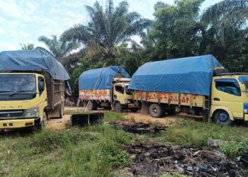 Ditreskrimsus Polda Riau Dibantu Polsek Kampar Kiri Amankan 4 Unit Cold Diesel Bermuatan Kayu Ilegal Logging